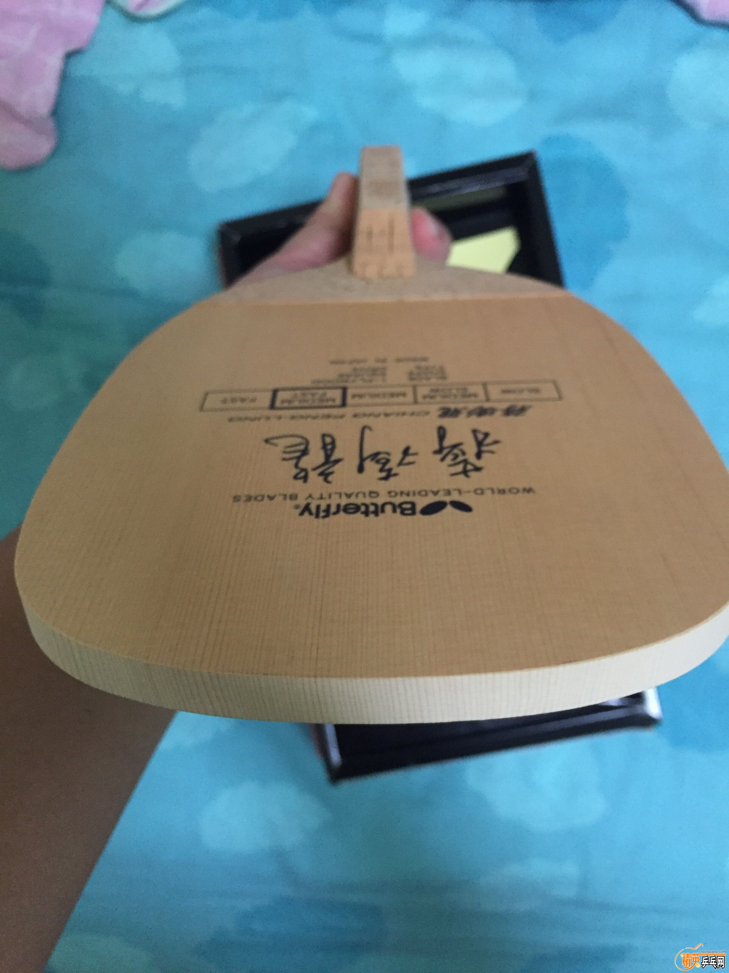 QQͼƬ20160913224934.jpg