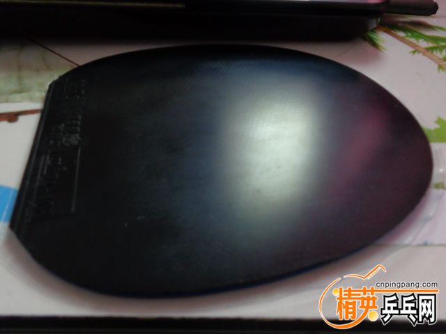 DSC01031.JPG