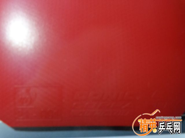 DSC01034.JPG