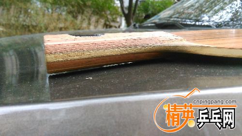 IMG_20160916_153116.jpg