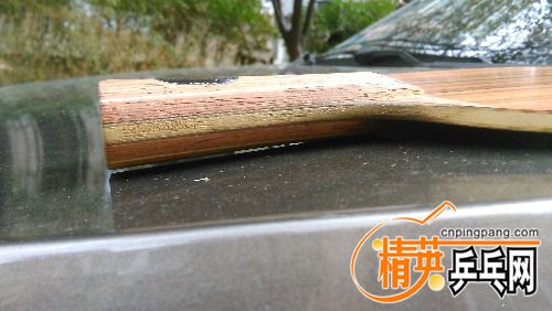 IMG_20160916_153114.jpg