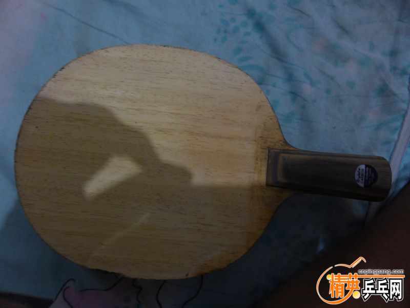 P1020483 (800x600).jpg