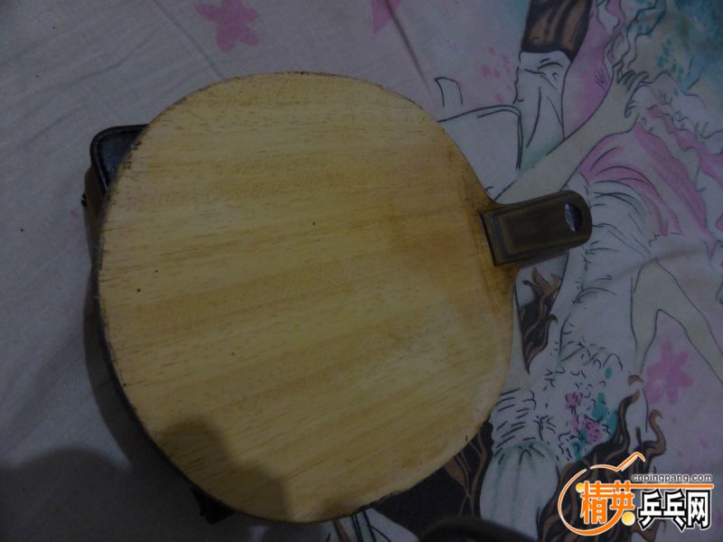 P1020495 (800x600).jpg