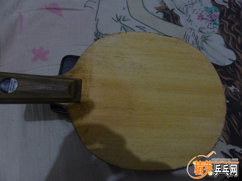 P1020497 (800x600).jpg