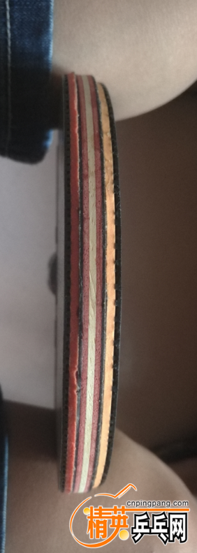 ڲ