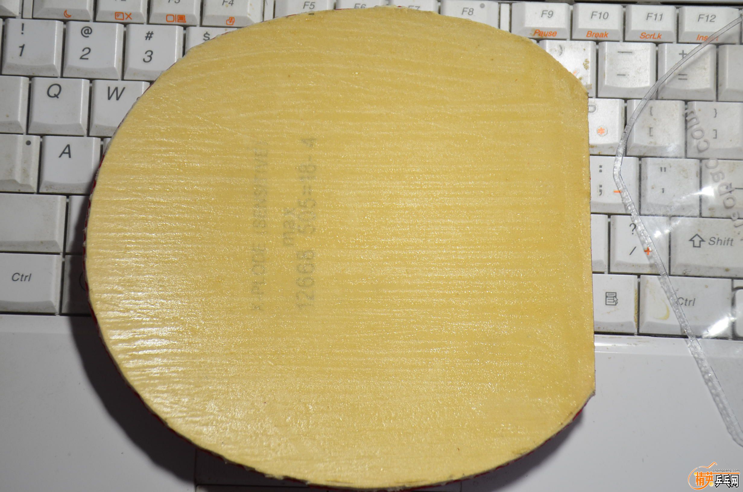 DSC_2585.JPG