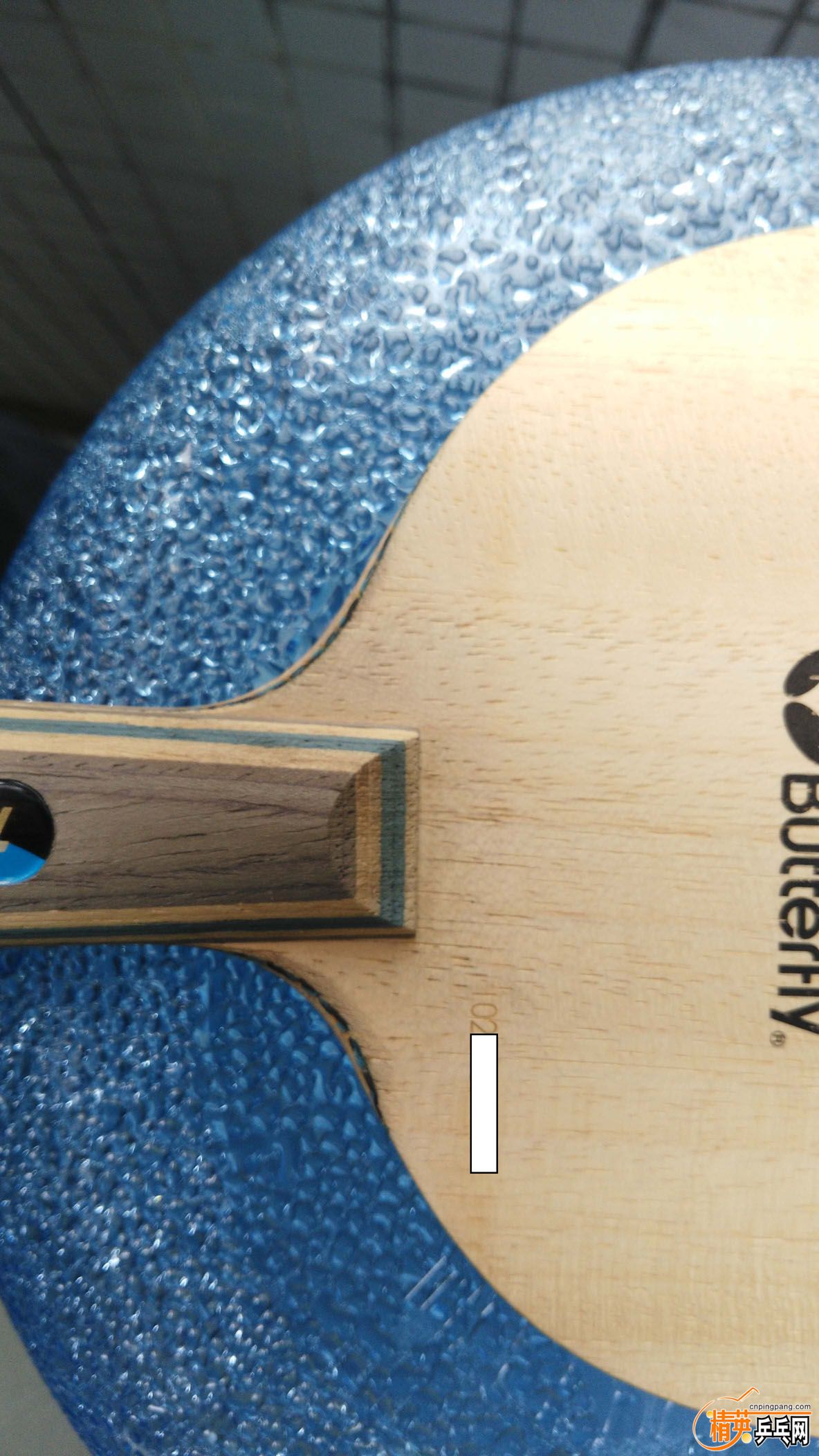 I������� (5).jpg