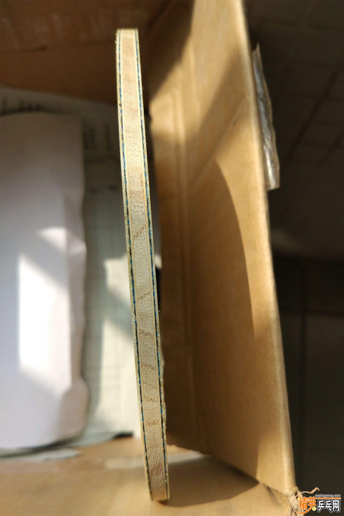 N��boll alc (4).jpg