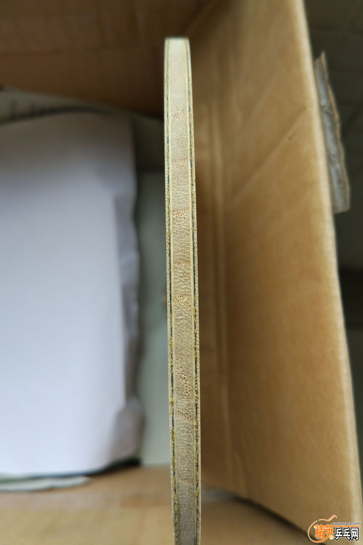 O���ż̿�ZLC (3).jpg