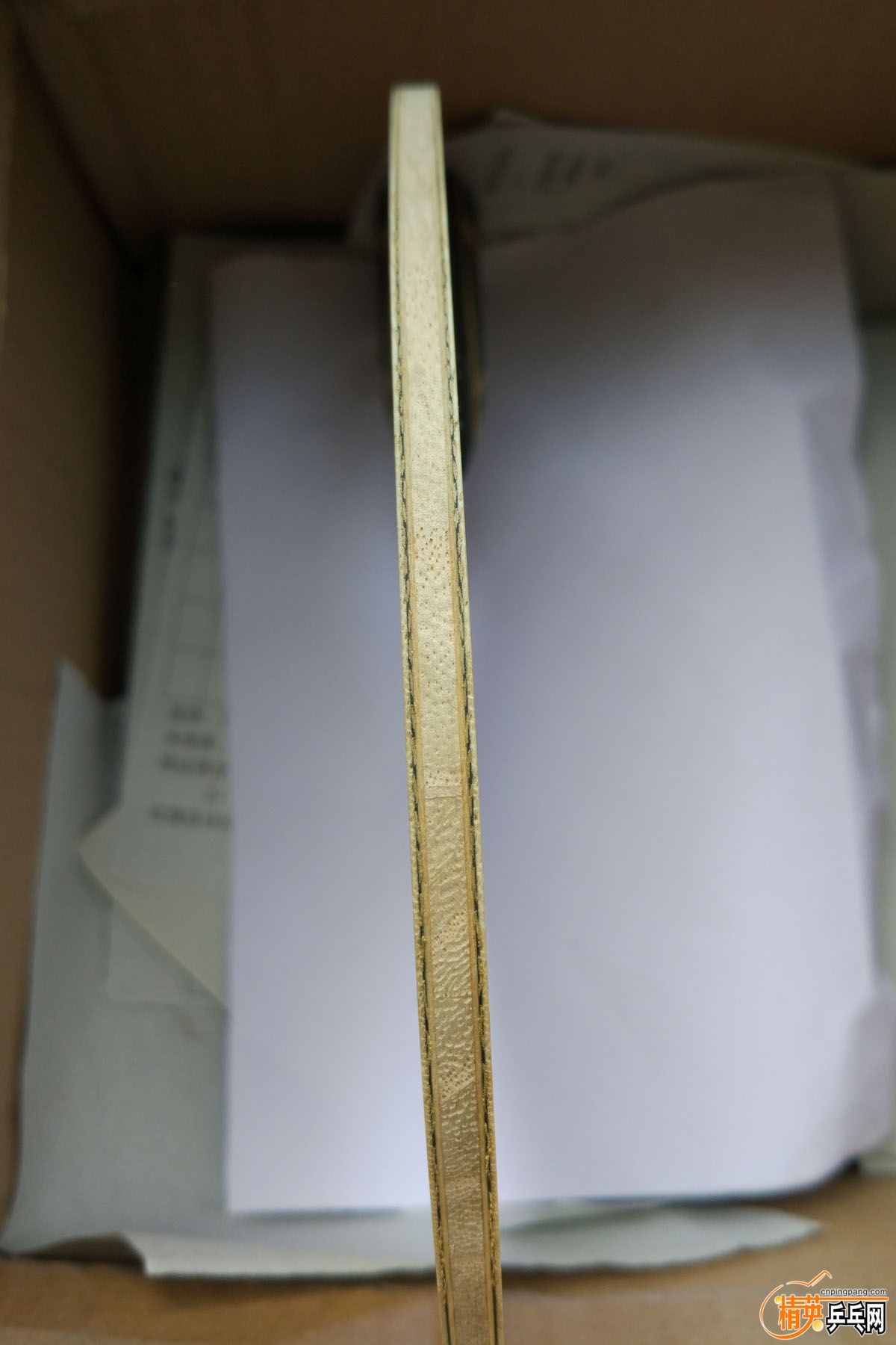 O���ż̿�ZLC (4).jpg