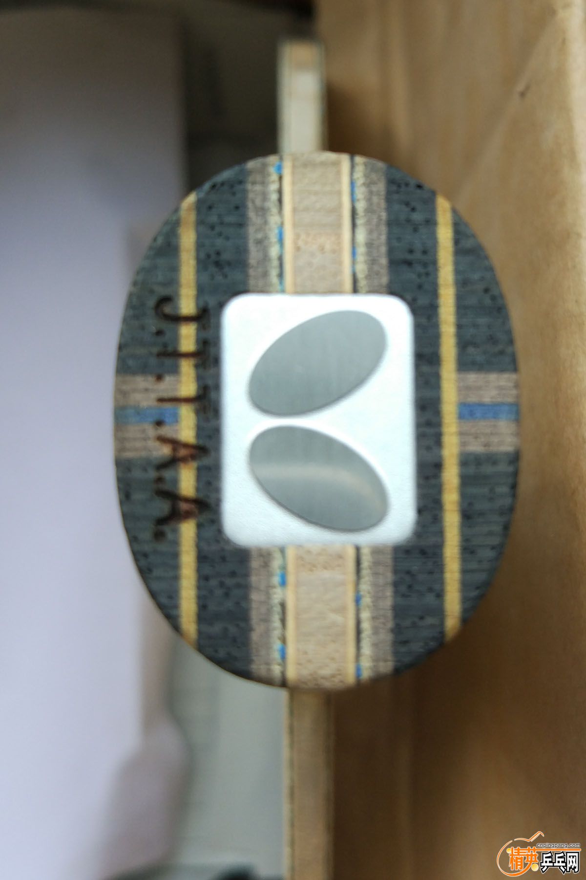 P���ż̿�ALC (2).jpg