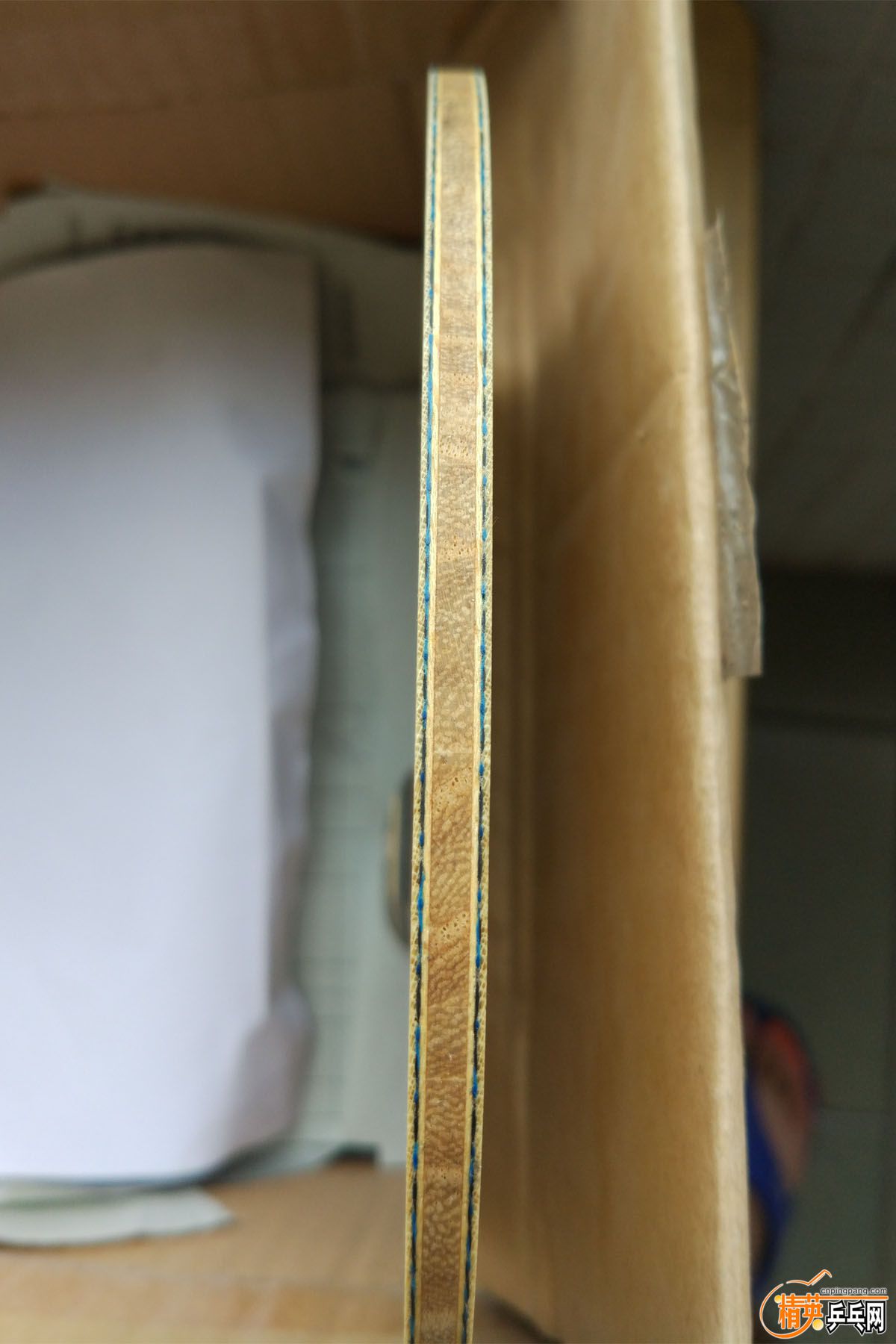 P���ż̿�ALC (3).jpg