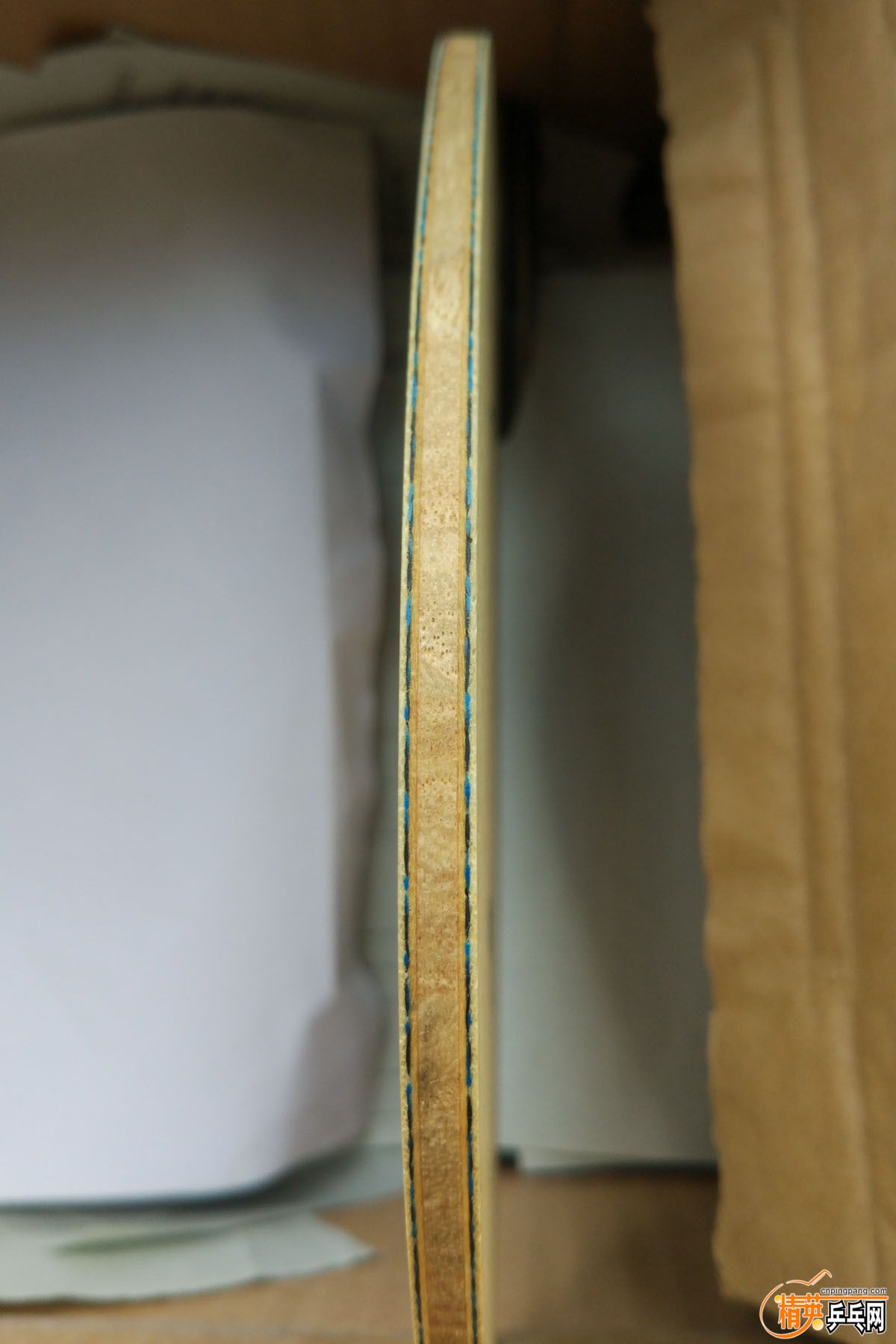 P���ż̿�ALC (5).jpg