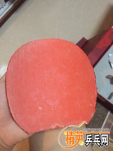 image.jpeg