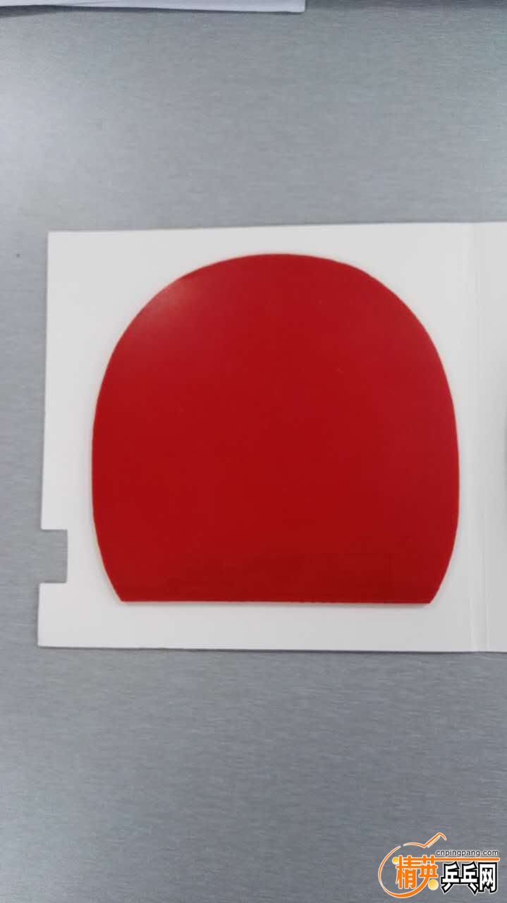 ʡ