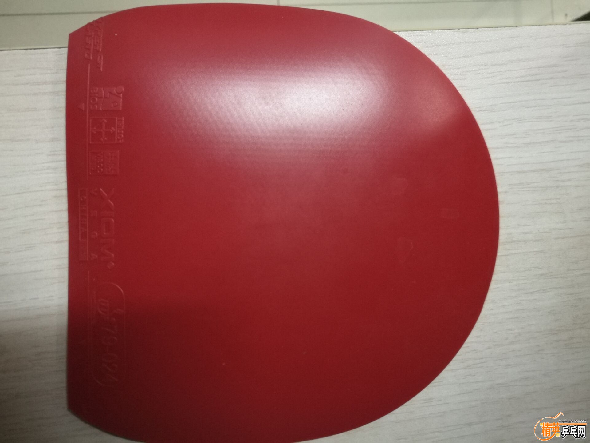 -337c0154f2bdfb95.jpg