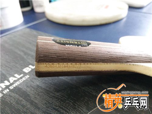 IMG_20160906_123656.jpg
