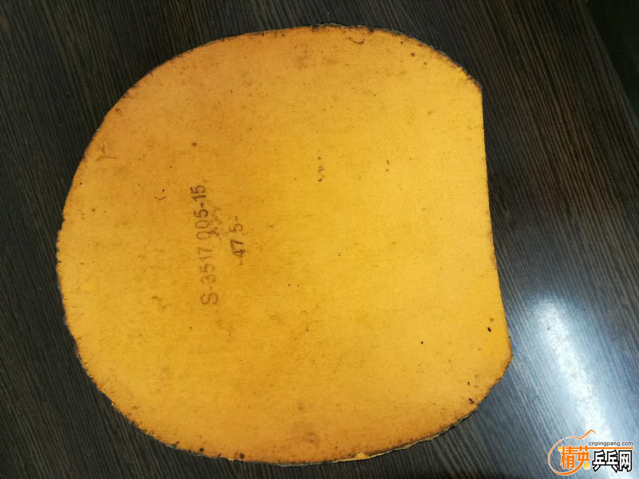 307298957.jpg