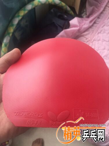 -18e54880f612cbcf.jpg
