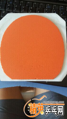 20160926_094240.jpg