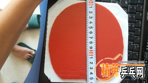 20160926_094651.jpg