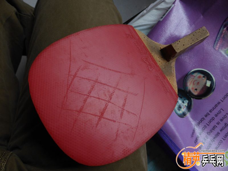 P1020499 (800x600).jpg