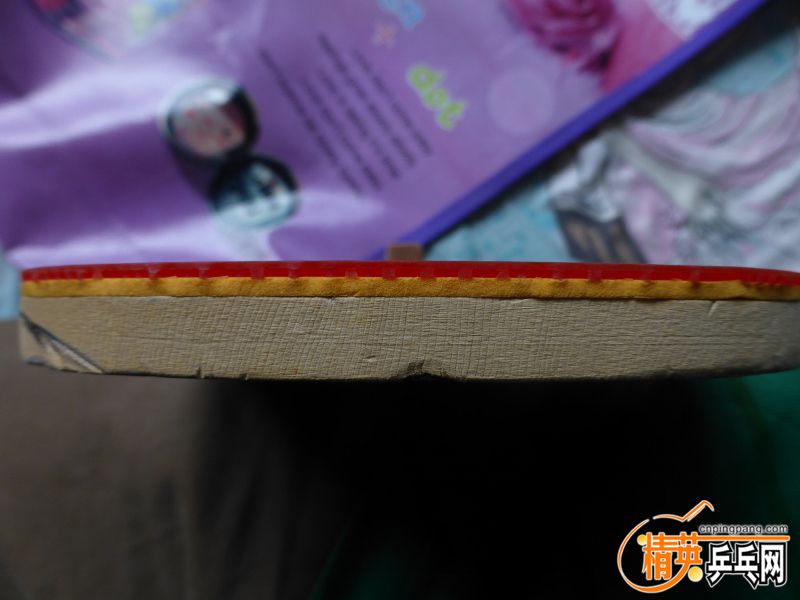 P1020503 (800x600).jpg