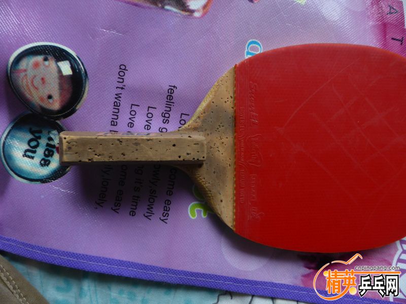 P1020504 (800x600).jpg