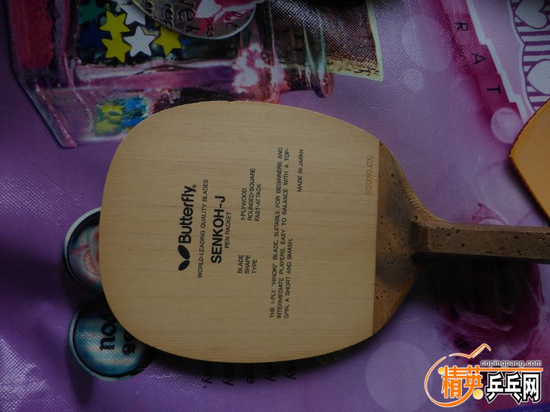 P1020505 (800x600).jpg