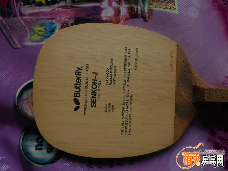 P1020506 (800x600).jpg