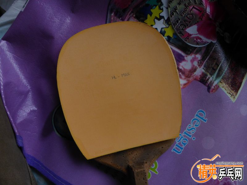 P1020507 (800x600).jpg