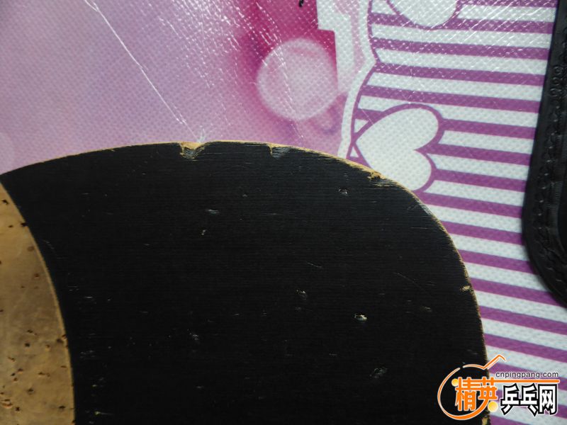 P1020509 (800x600).jpg