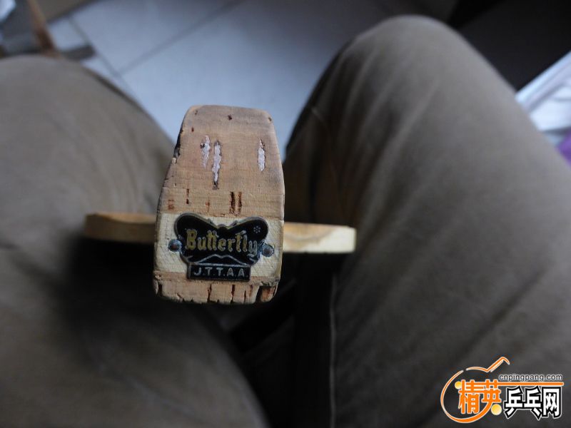 P1020510 (800x600).jpg