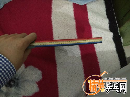 IMG_20160926_183523_HHT.jpg