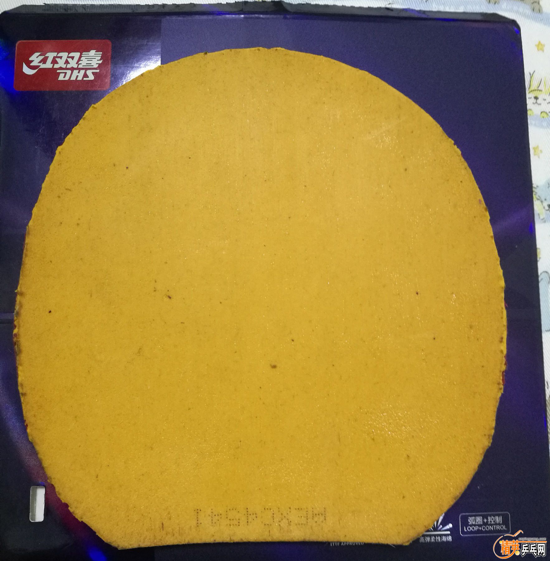 360-2.jpg