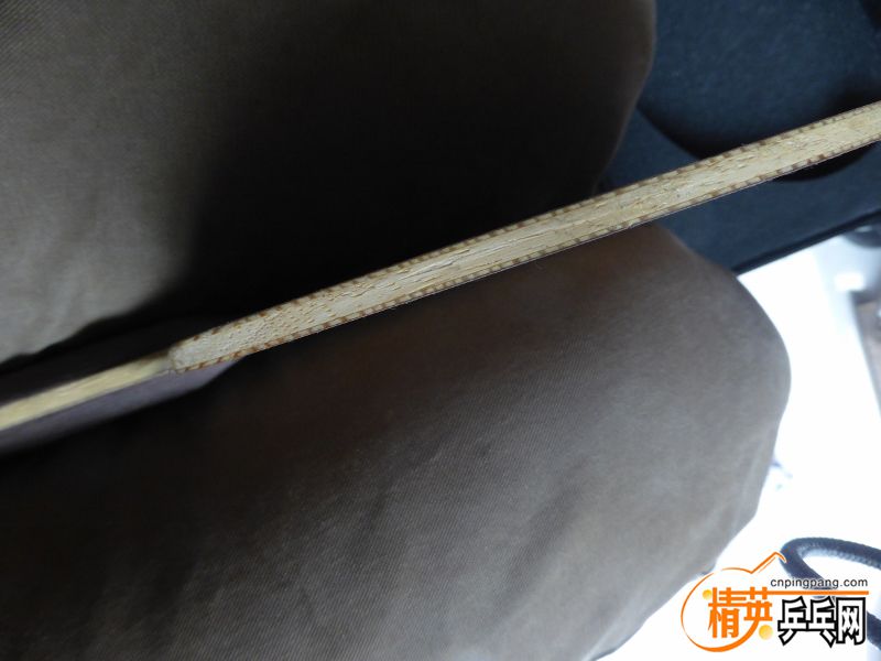 P1020518 (800x600).jpg