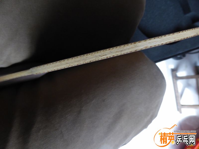 P1020519 (800x600).jpg