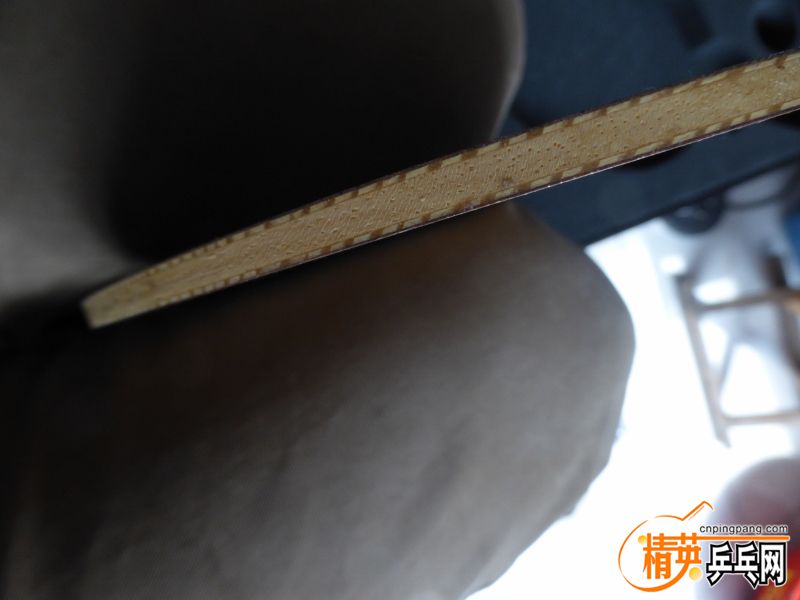 P1020520 (800x600).jpg