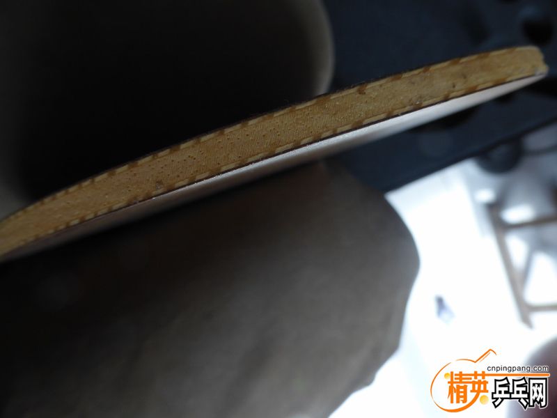 P1020521 (800x600).jpg