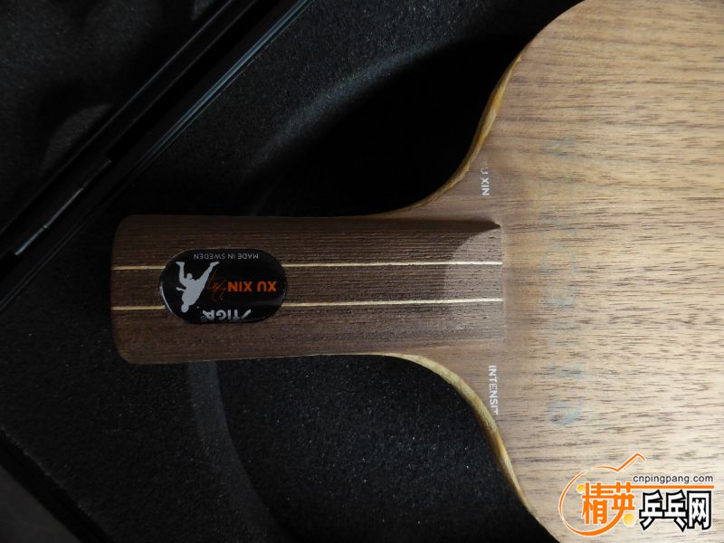 P1020522 (800x600).jpg