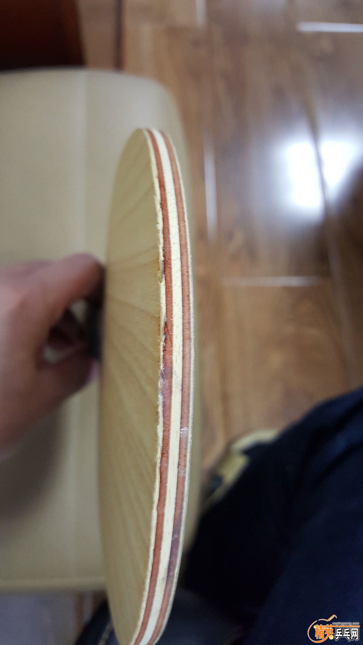 20160927_152130.jpg
