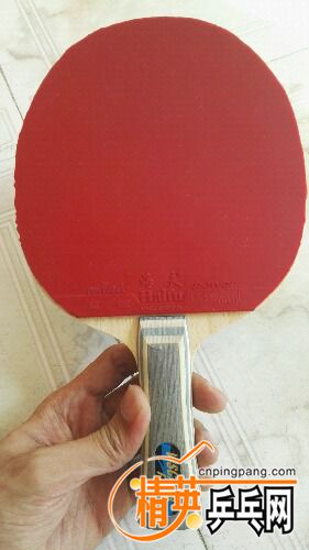 IMG_20160927_144209.jpg