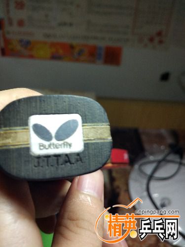 IMG20160920110114.jpg