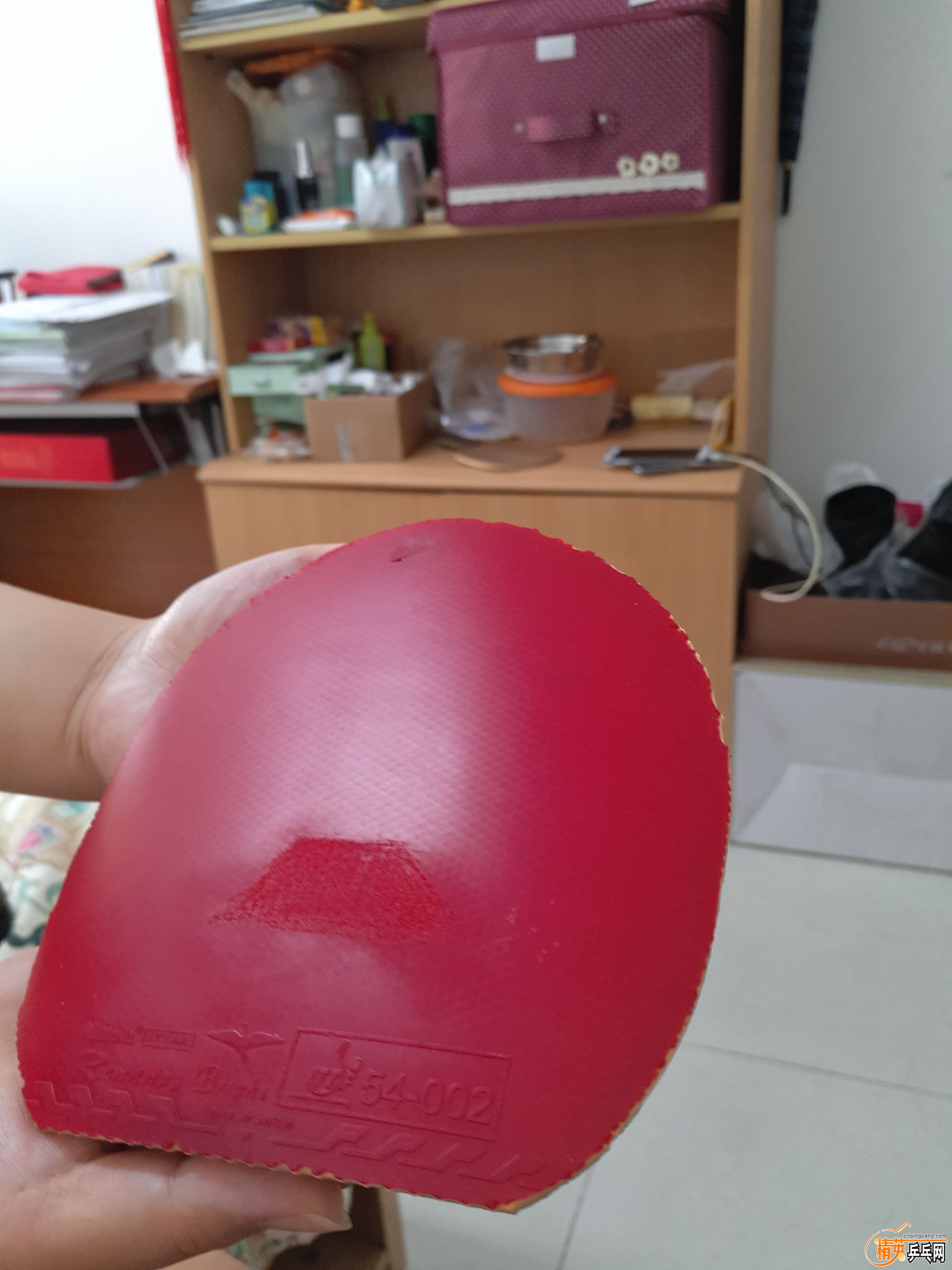 IMG20160916091146.jpg