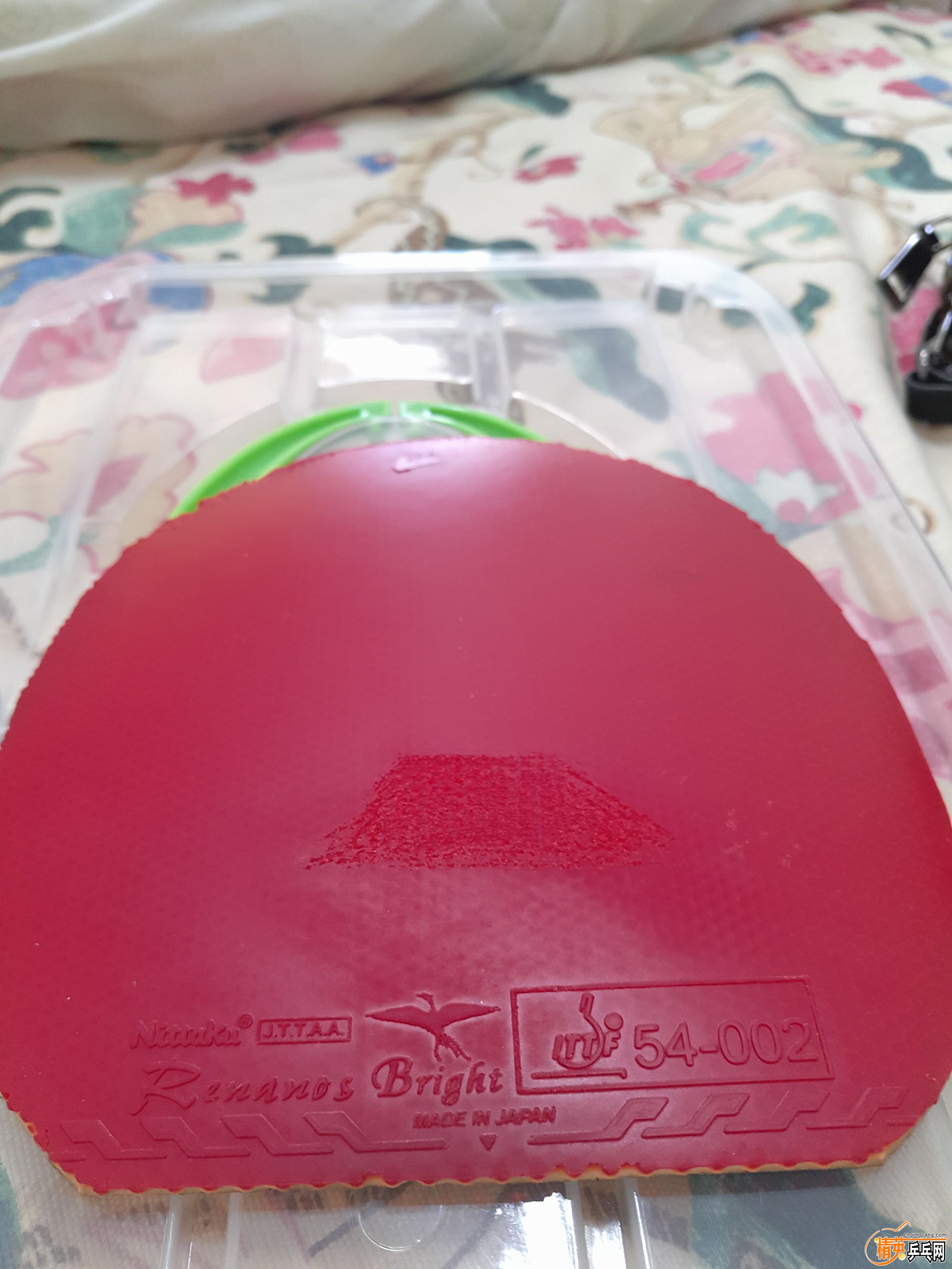 IMG20160916091304.jpg