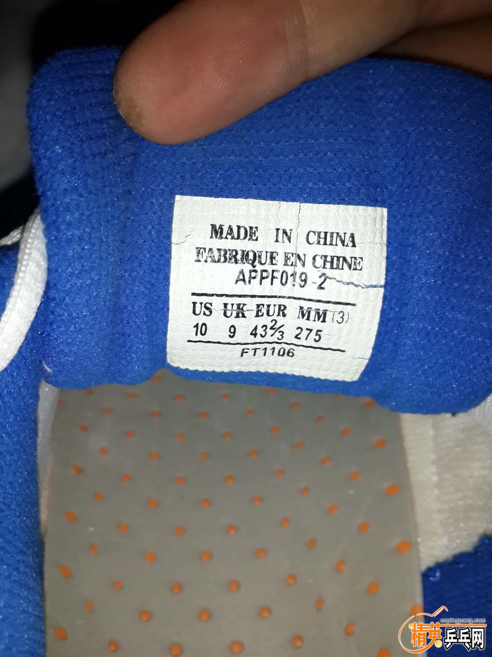 609143203153295601.jpg