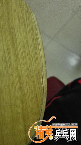 IMG_20160926_213206.jpg