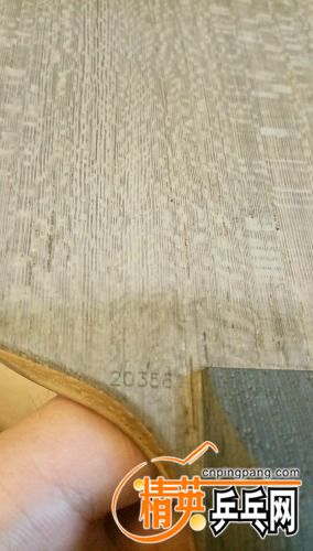 IMG20161004170915.jpg
