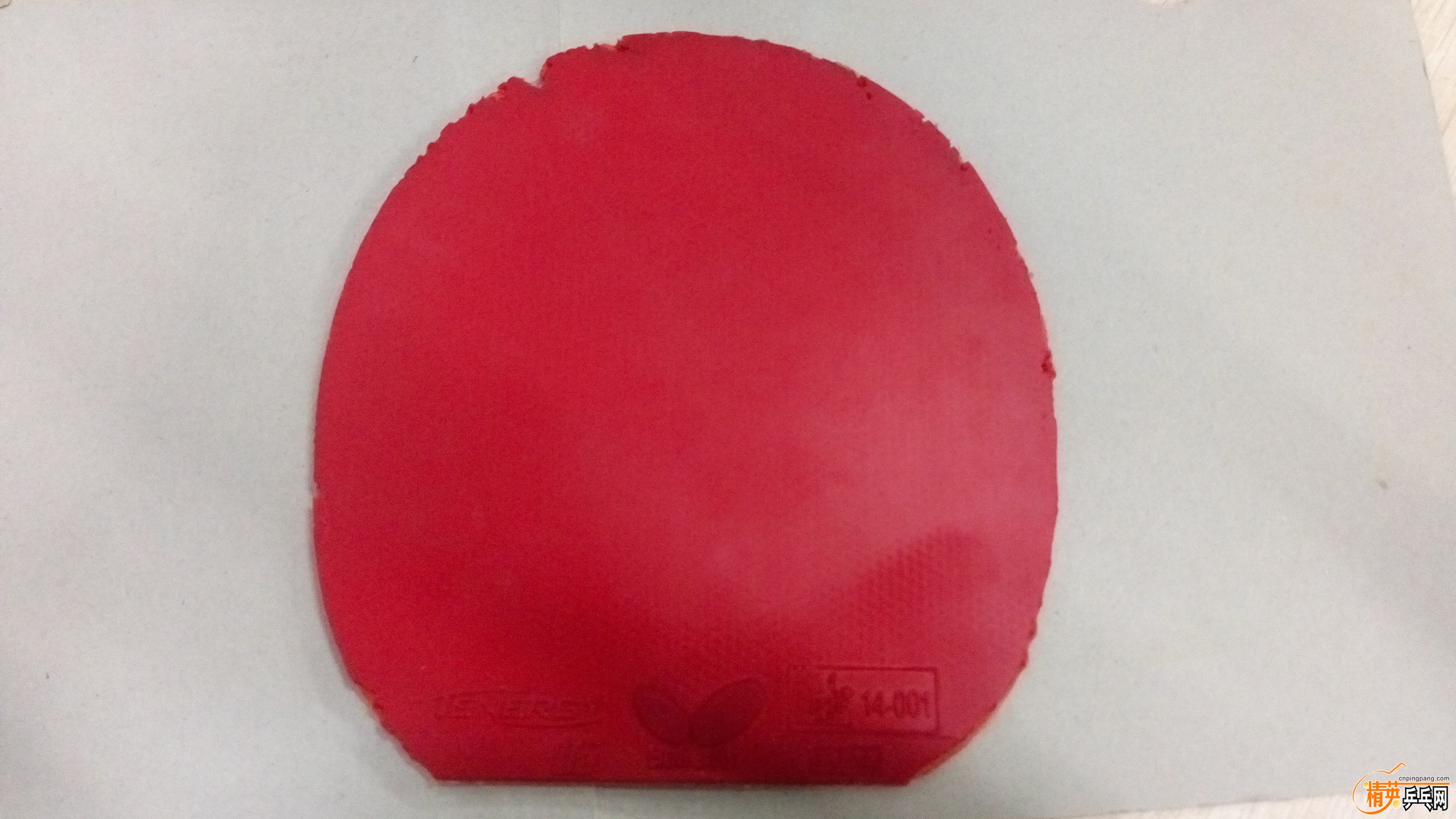 P61004-185913.jpg