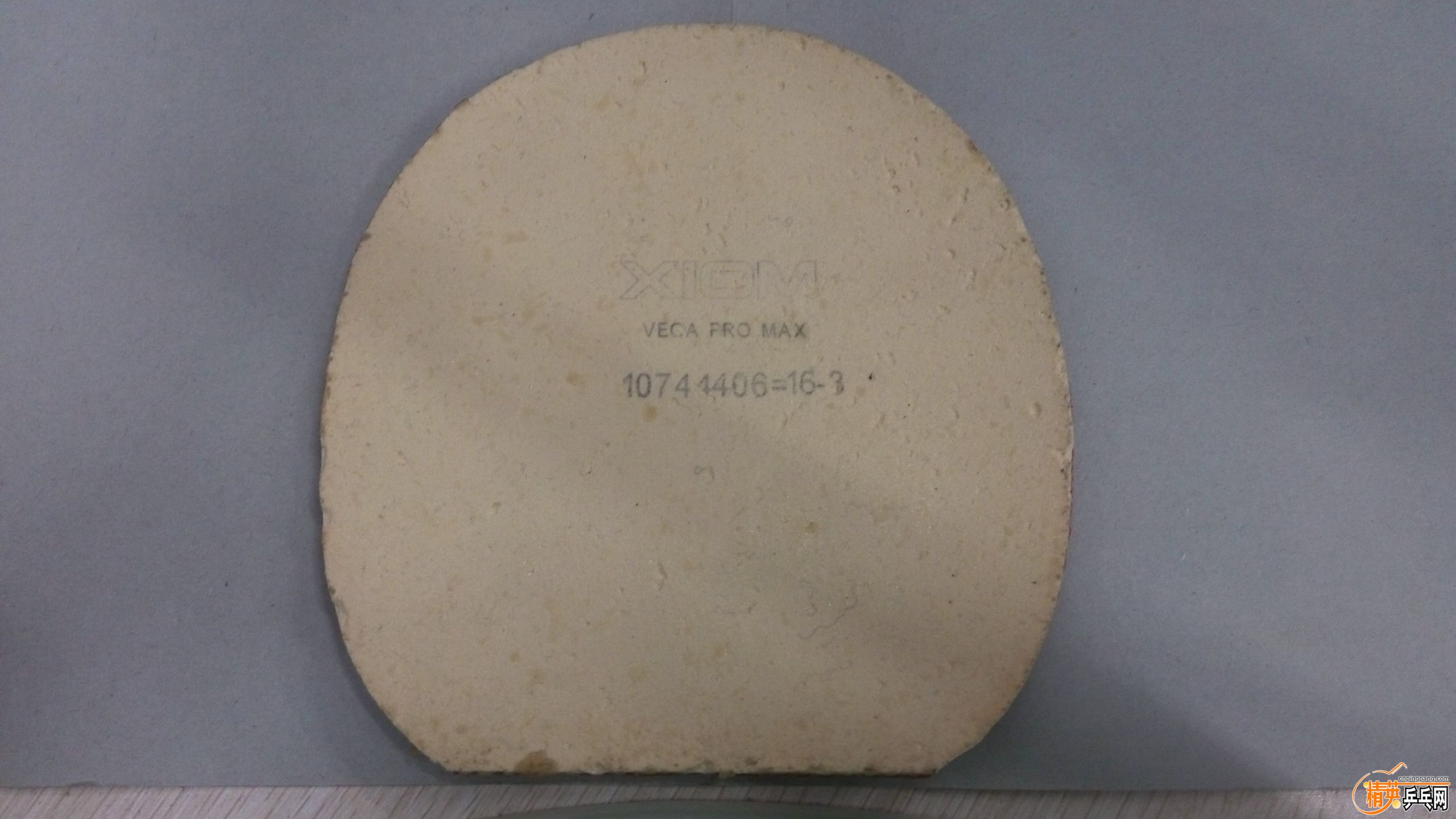 P61004-185818.jpg